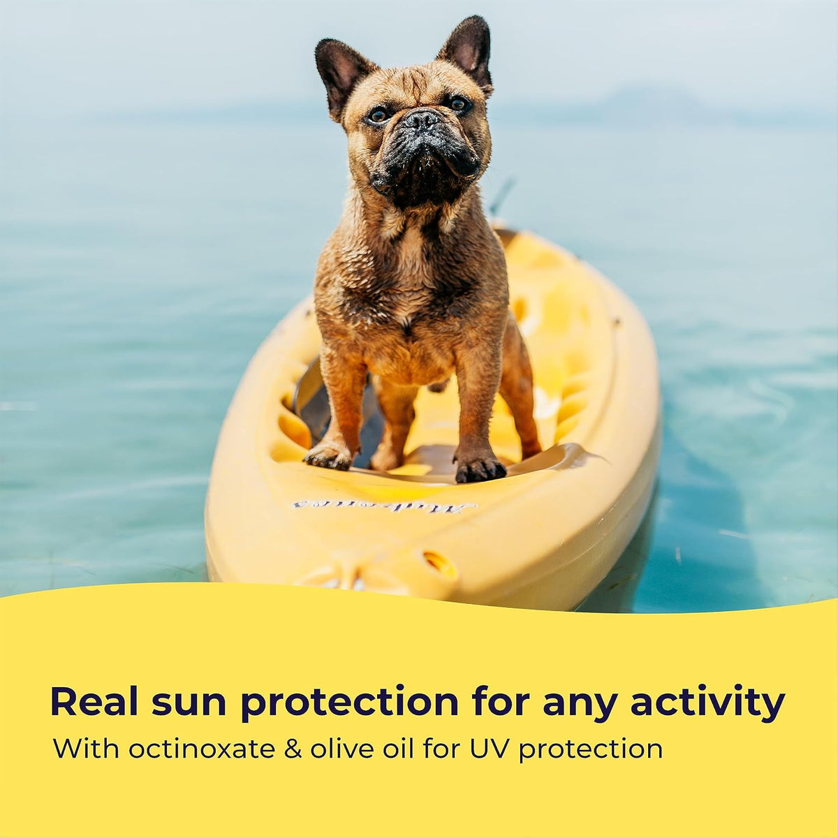 Dog Sunscreen SPF 30, No Zinc Oxide, Safe for Dogs & Cats
