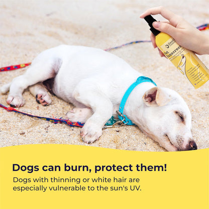 Dog Sunscreen SPF 30, No Zinc Oxide, Safe for Dogs & Cats
