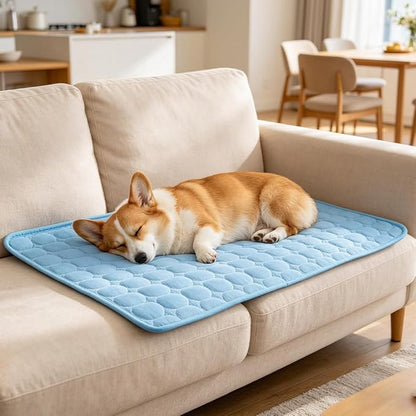 FrostPaw™ Cooling Mat